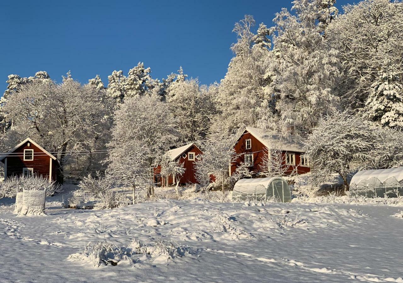 18Th Century Farm Cottage Вальдемарсвик Экстерьер фото